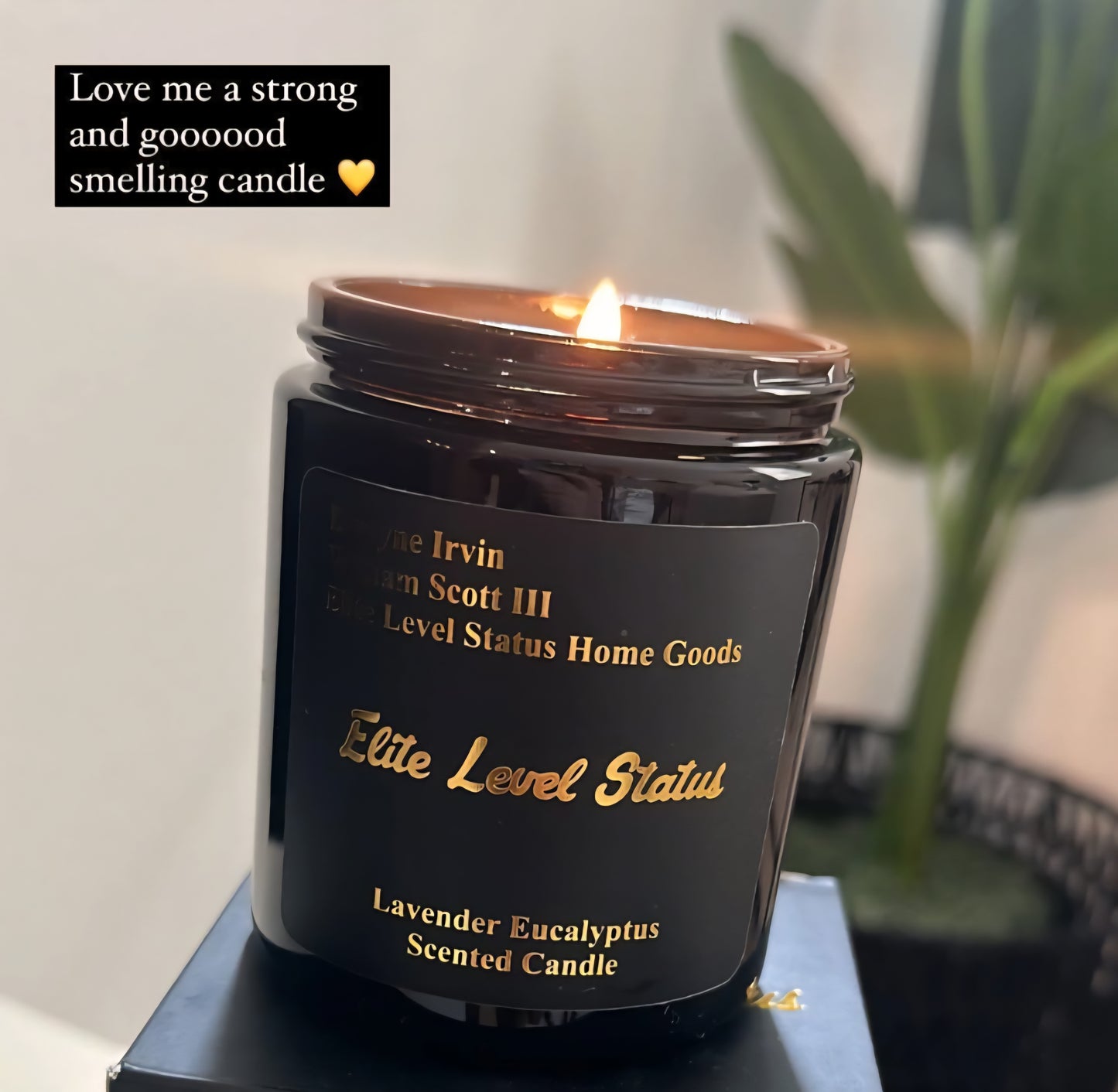 Scented Candle (Lavender Eucalyptus)
