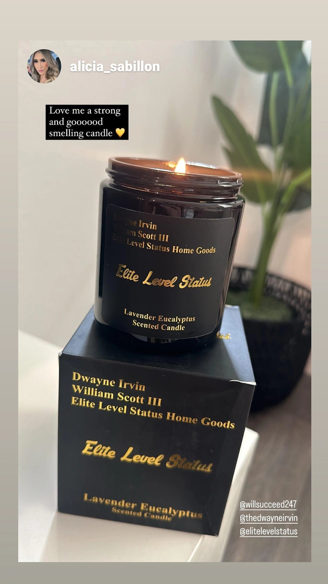 Scented Candle (Lavender Eucalyptus)